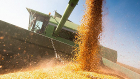 В России завершается уборка зерновых